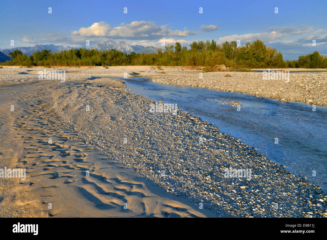 Tagliamento fiume intrecciato, Forgaria nel Friuli, Italia Foto Stock