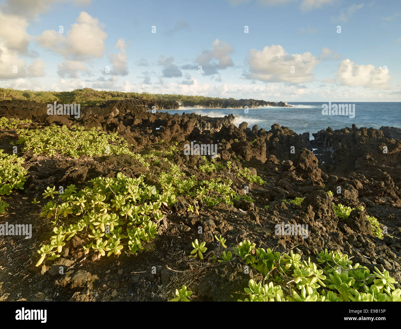 Costa rocciosa di Hana Bay, Maui, Hawaii, STATI UNITI D'AMERICA Foto Stock