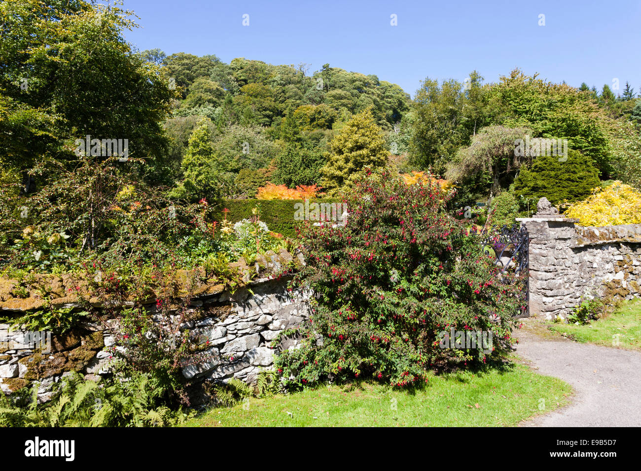 I bellissimi giardini murati di Duntrune castello sul bordo del Loch Crinan, Argyll & Bute, Regno Unito Scozia Foto Stock