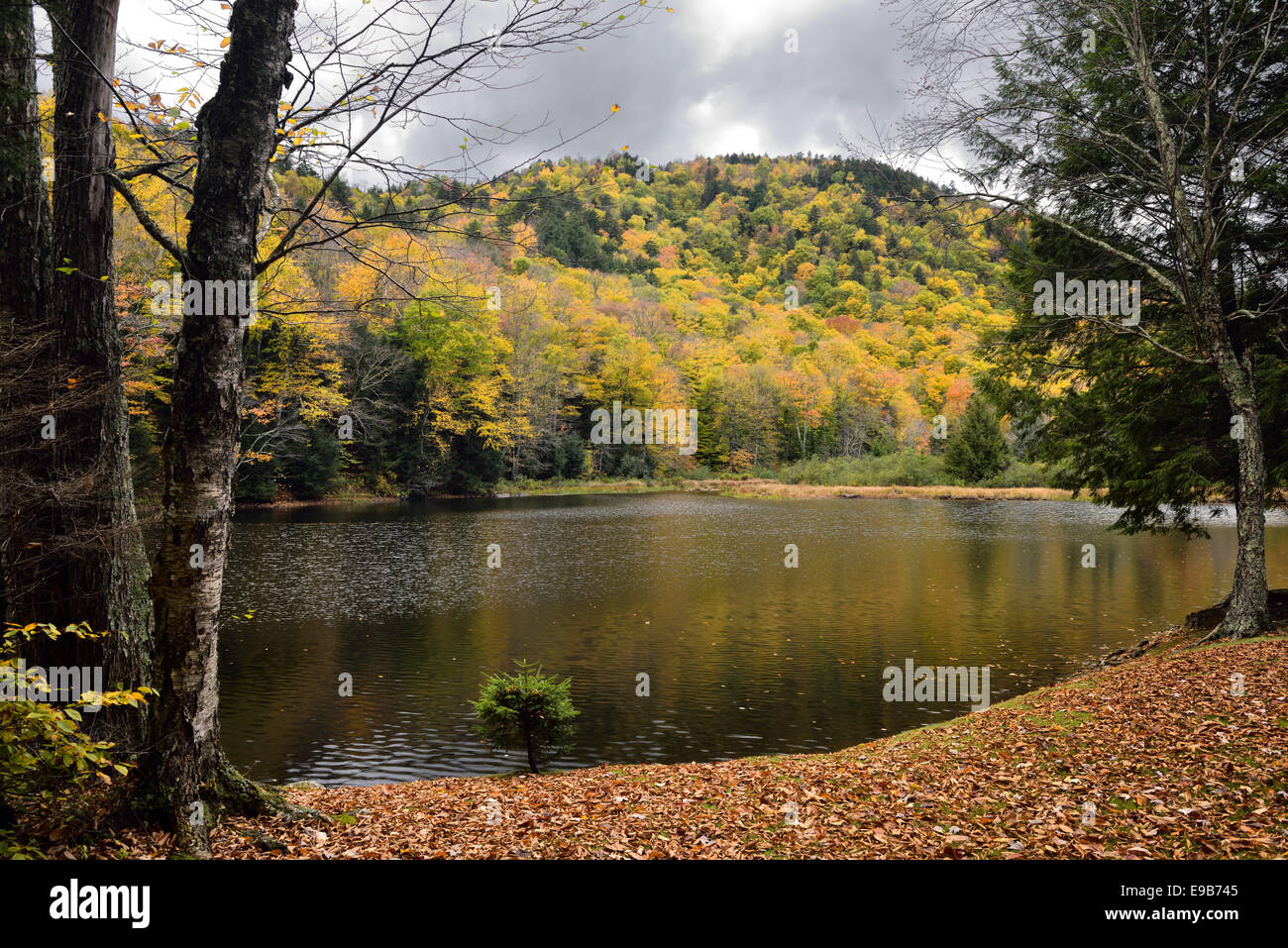 Lago privato mansfield trota laghetto in autunno a Stowe vermont - USA Foto Stock