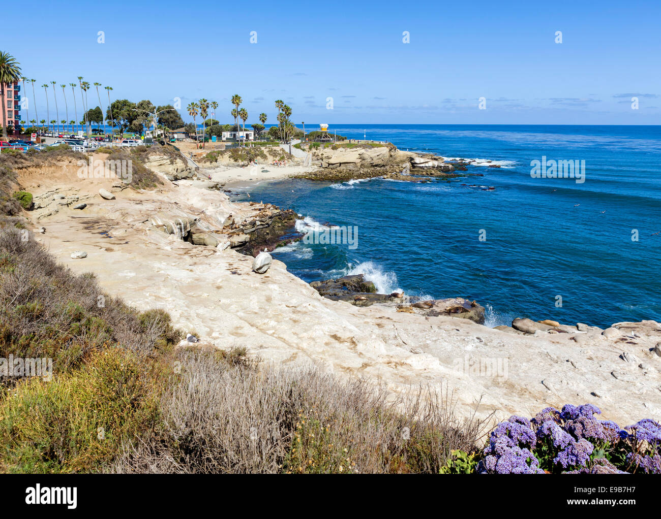 La spiaggia di La Jolla Cove, La Jolla, della Contea di San Diego, California, Stati Uniti d'America Foto Stock