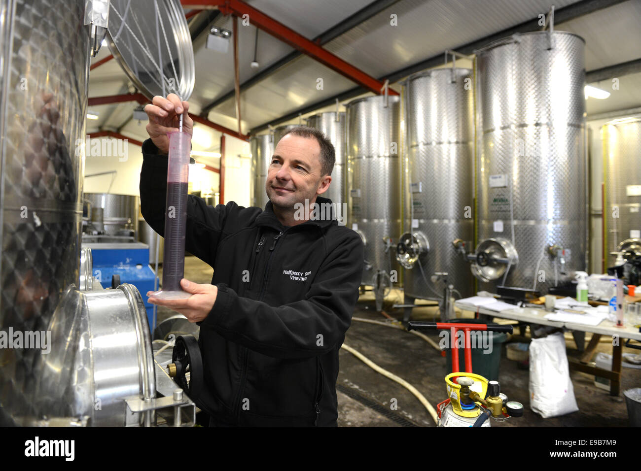 Clive direttore Vickers a Halfpenny verde di vigneti del vino test di gravità con densimetro in Inghilterra Staffordshire REGNO UNITO Foto Stock