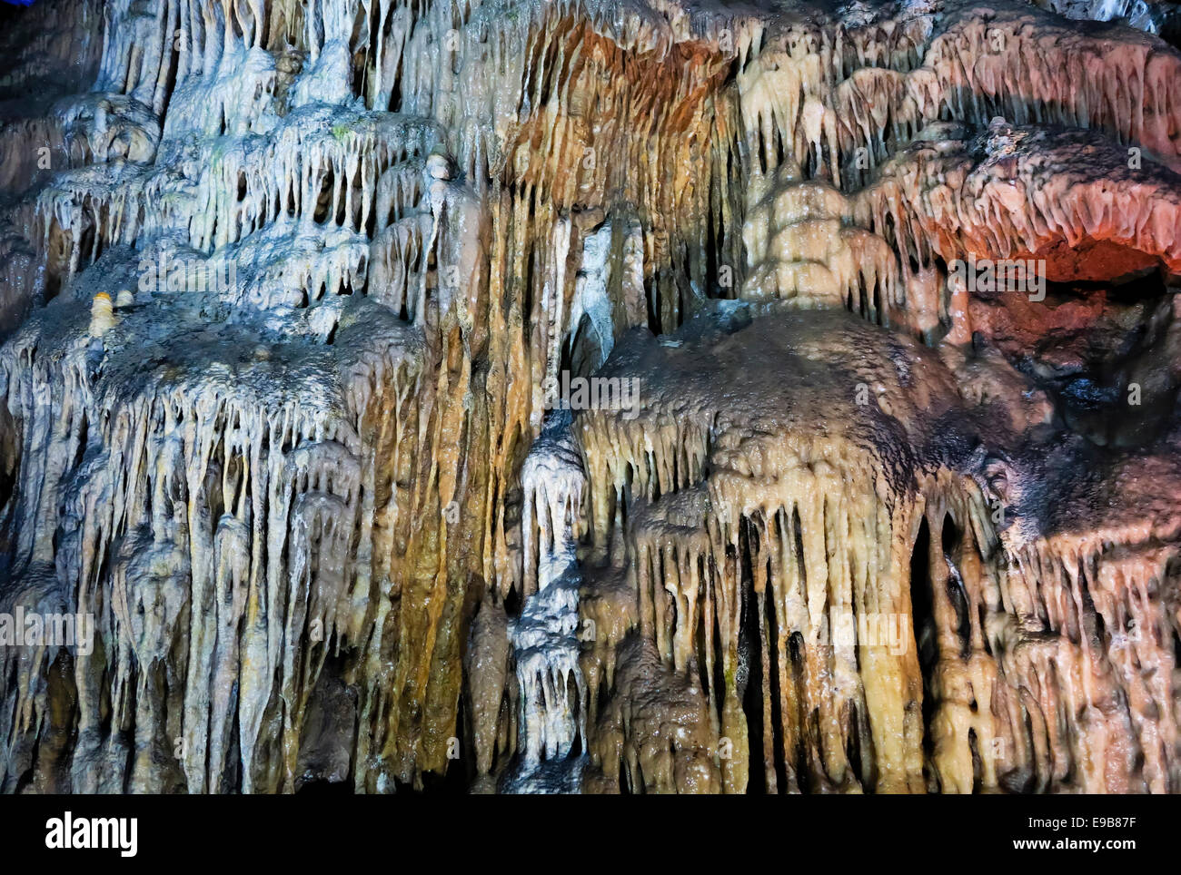 Stalattiti all'interno di Poole's Cavern in Buxton nel distretto di Peak Derbyshire England Regno Unito una grotta di pietra calcarea con spettacolo di grotte Foto Stock