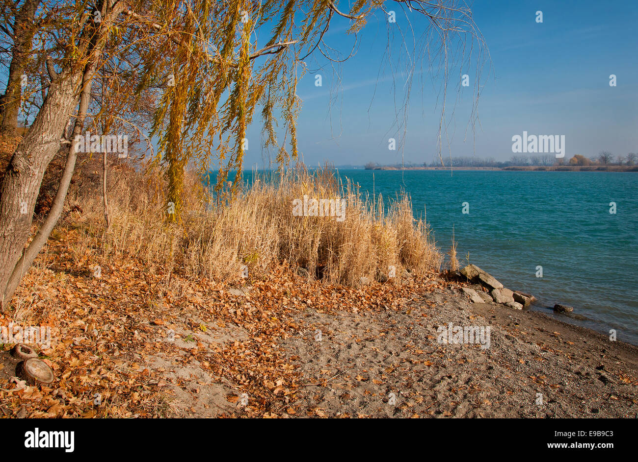 Michigan parco lungo il fiume Detroit in autunno Foto Stock