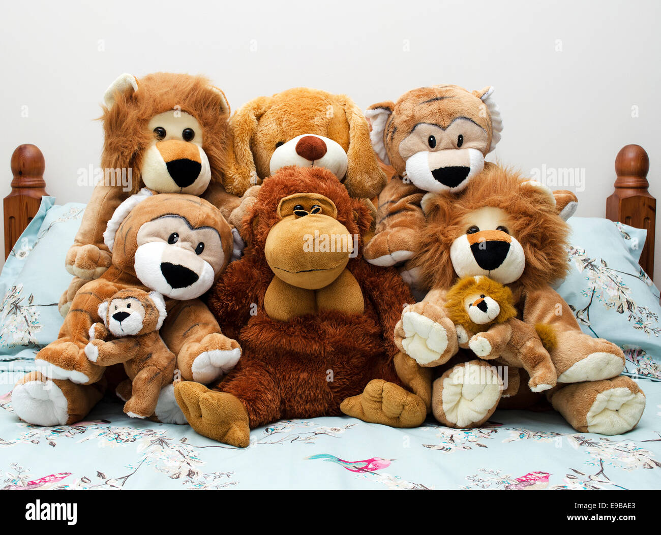 Una collezione di orsetti di peluche e giocattoli morbidi Foto stock - Alamy
