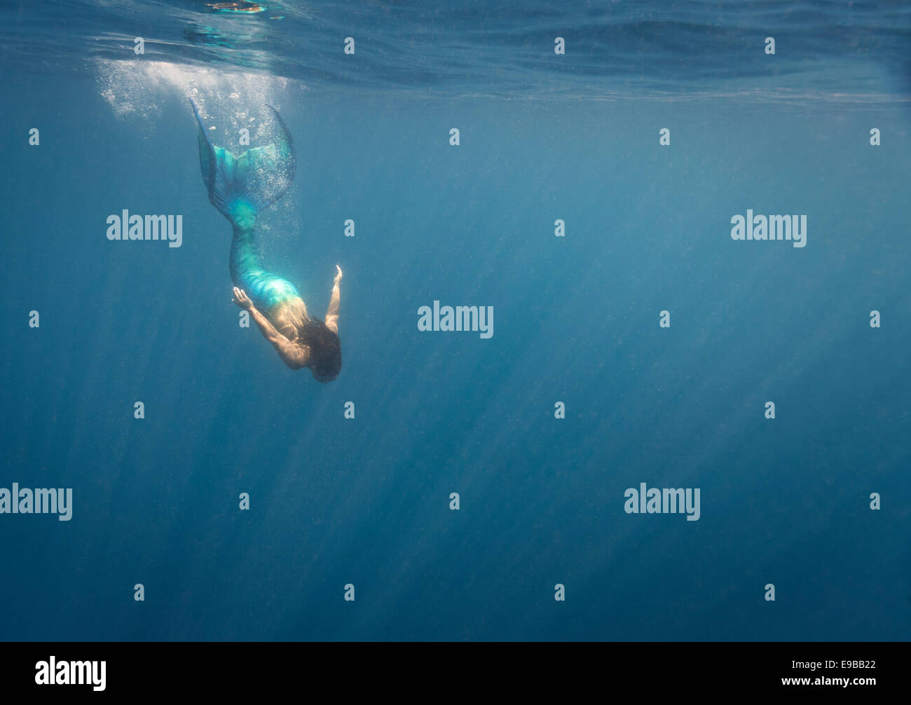 Mermaid nuotare attraverso le acque al largo di Isla Mujeres, Messico Foto Stock