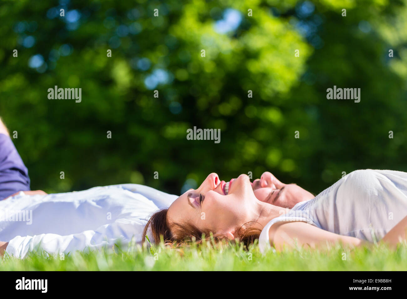 Gli amici la posa di fianco a fianco sul prato del Parco godendo di Sun Foto Stock