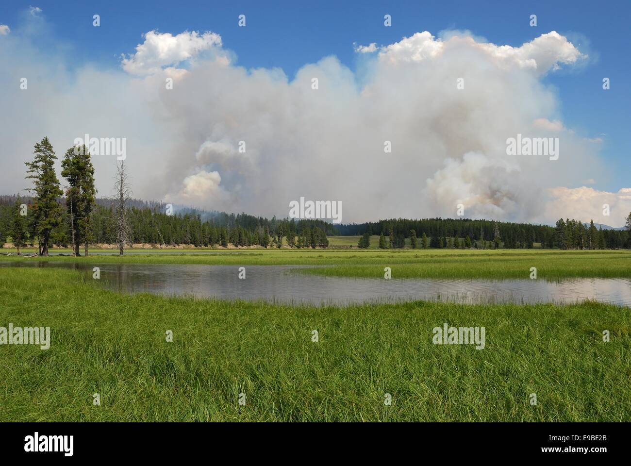 Piscine geotermali nel parco di Yellowstone Foto Stock