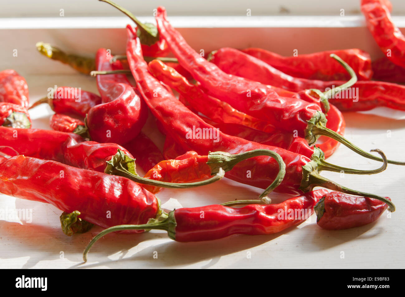 Peperoncini rossi piccanti Immagini e Fotos Stock - Alamy