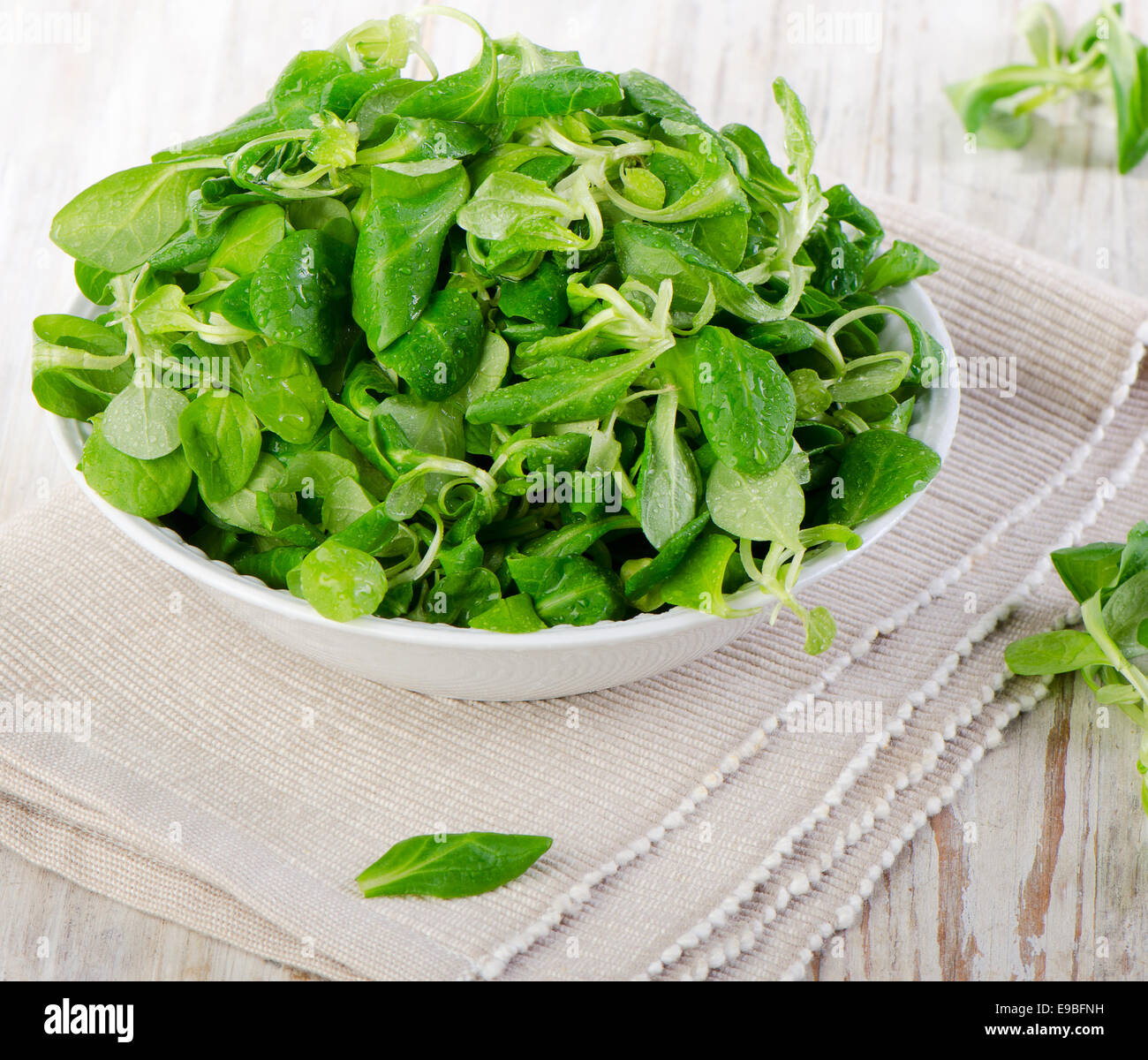 insalata verde Foto Stock