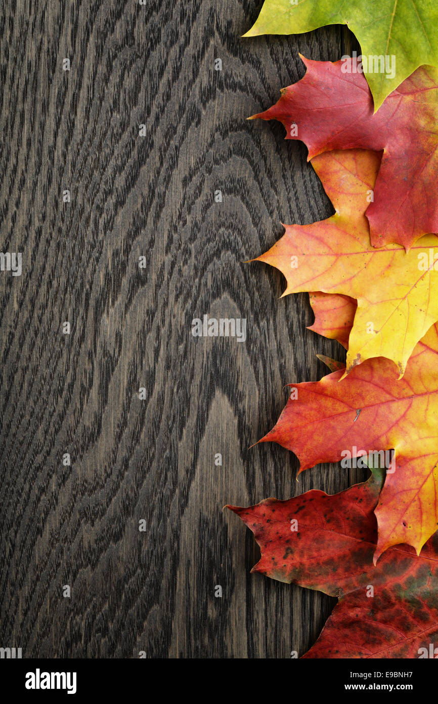 Autunno foglie di acero sul vecchio tavolo in legno di quercia, direttamente dal di sopra Foto Stock