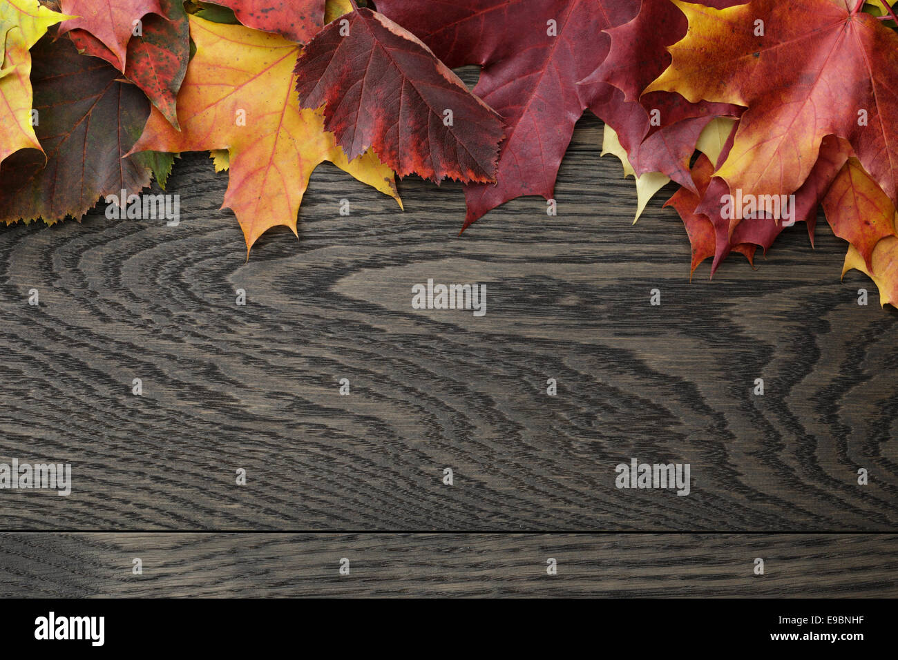 Foglie di autunno sul vecchio tavolo in legno di quercia, direttamente dal di sopra Foto Stock