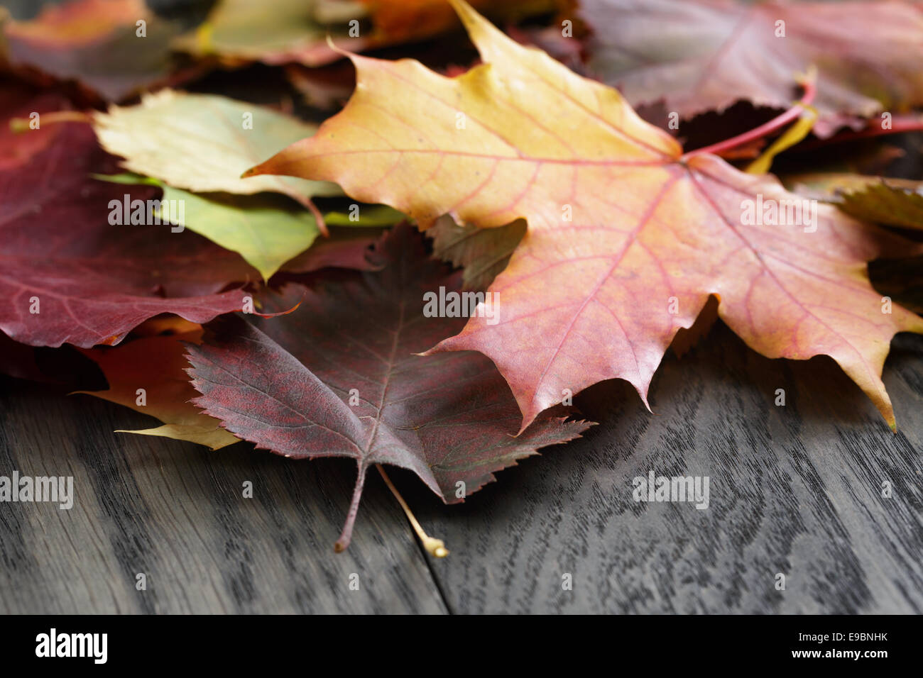 Foglie di autunno sul vecchio tavolo in legno di quercia, close up Foto Stock