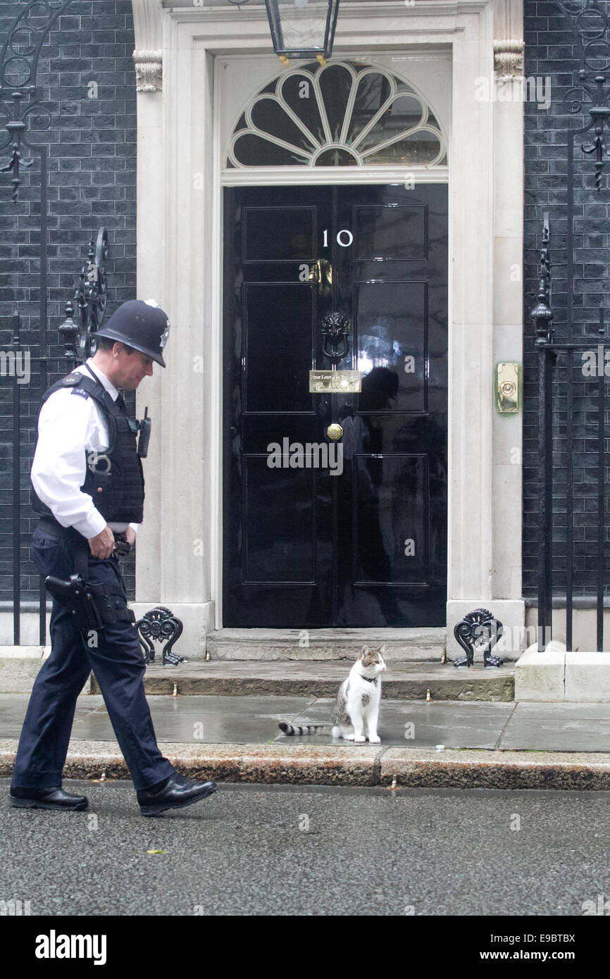 Un funzionario di polizia passeggiate passato Larry il gatto seduto fuori della porta di 10 Downing street a Westminster Londra mentre il Primo Ministro David Cameron è lontano Foto Stock
