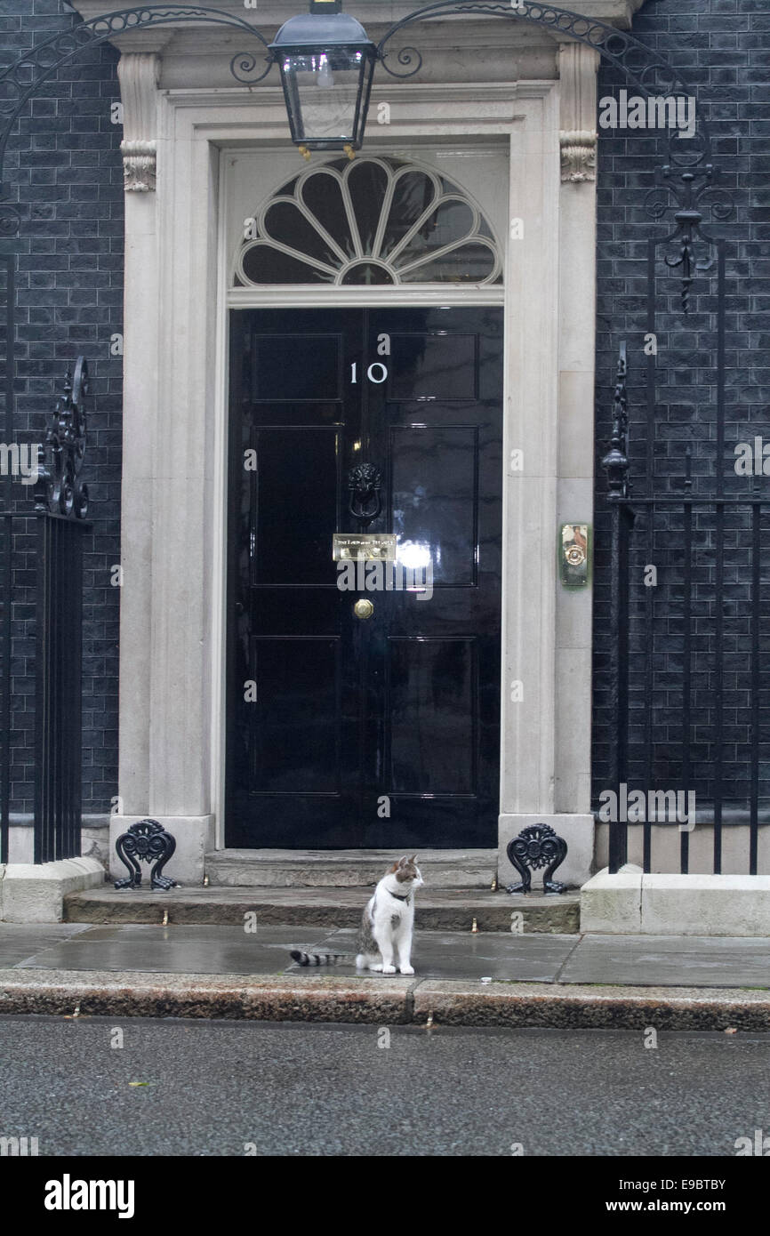 Larry il gatto si trova al di fuori della porta di 10 Downing street a Westminster Londra mentre il Primo Ministro David Cameron è lontano Foto Stock