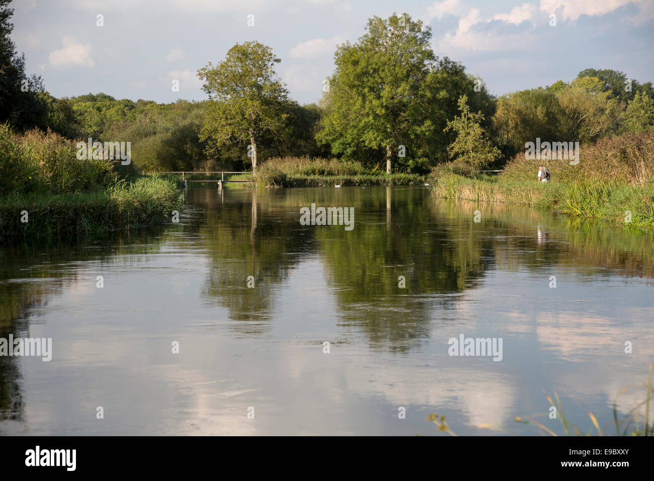 Prova di fiume, Hampshire, Inghilterra Foto Stock