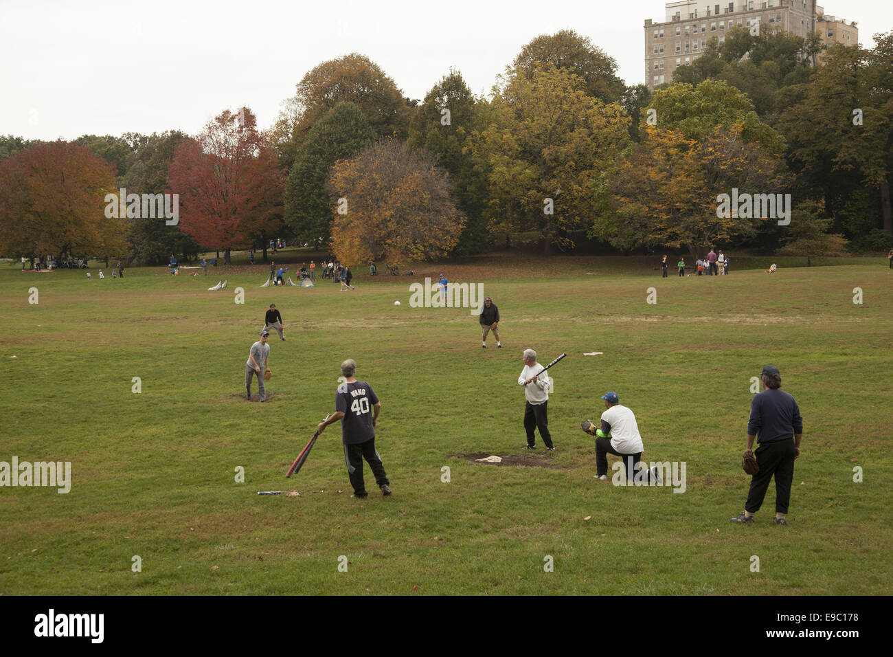 Autunno partita di baseball, Prospect Park di Brooklyn, New York. Foto Stock
