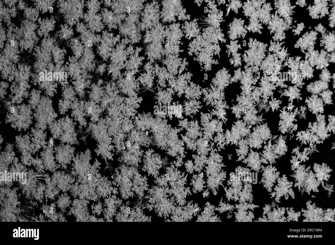 Modelli di ghiaccio sulla finestra. Foto Stock