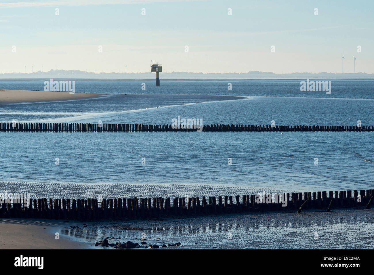 Gaging in stazione in mare poco profondo vicino a sud-ovest dell'isola Spiekeroog, 27 Settembre 2013 Foto Stock