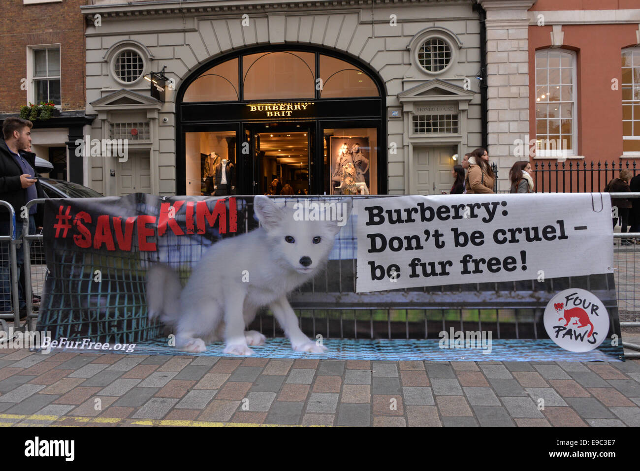 Londra,l'Inghilterra,24 Ott 2014 : FOURPAWS E K-9 Angeli ha lanciato una campagna contro la British Burberry per impedire il reale utilizzando pellicce nelle sue collezioni moda. I centri di campagna intorno a un adorabile fox cub chiamato Kimi, che attualmente vive in una fattoria di pelliccia in Finlandia. Foto di vedere Li/Alamy Live Foto Stock