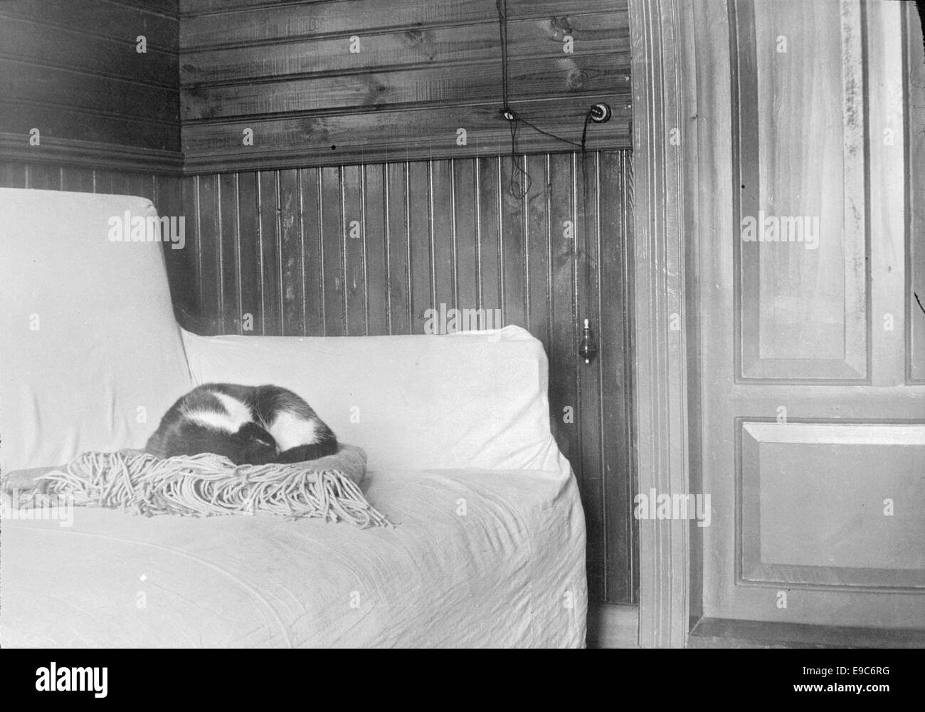 Fotografia di un gatto appoggiato su un divano in una stanza con un campanello di allarme sulla parete. L'immagine è attribuita a Edith Raivola, e mostra un tipico ambiente domestico con elementi scandinavi, probabilmente legati alla cultura finlandese e agli archivi SLS (Svenska litteratursällskapet). Foto Stock