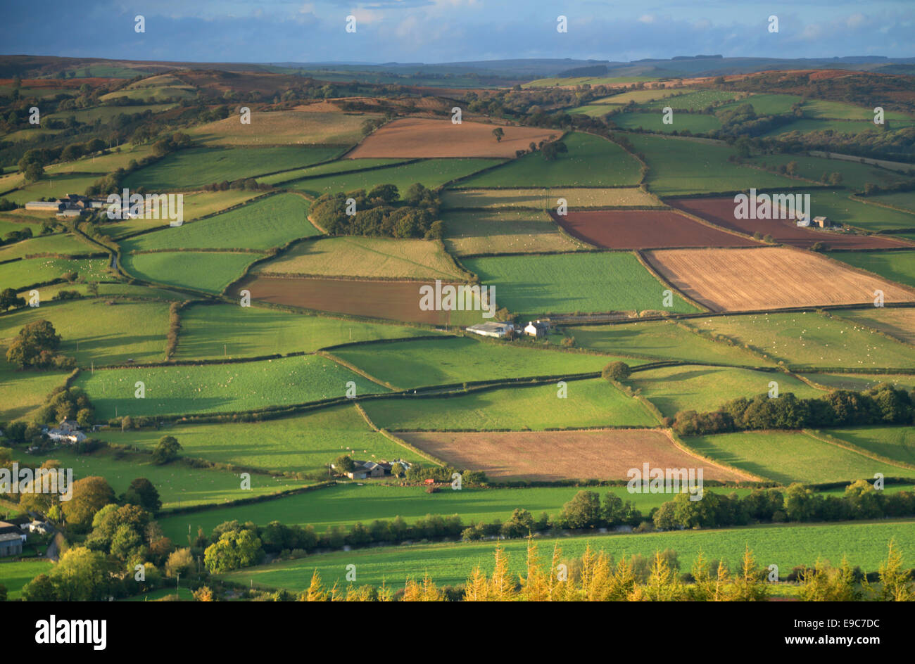 Un patchwork di campi e prati illuminata dalla luce della sera nel Usk Valley vicino a Brecon, Powys Foto Stock