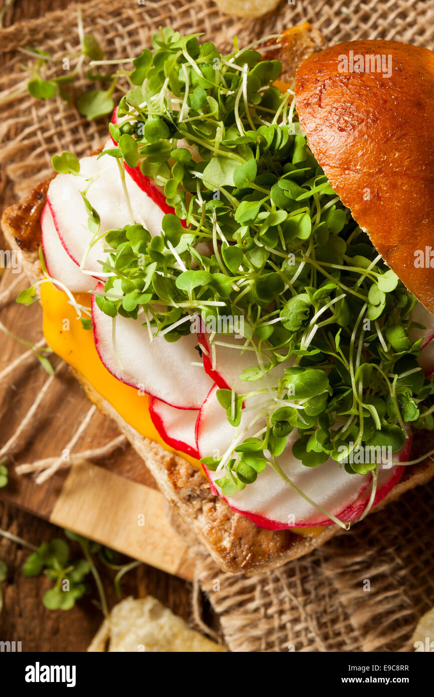 Fatti in casa a base di soia vegetariani Tofu hamburger con patatine Foto Stock