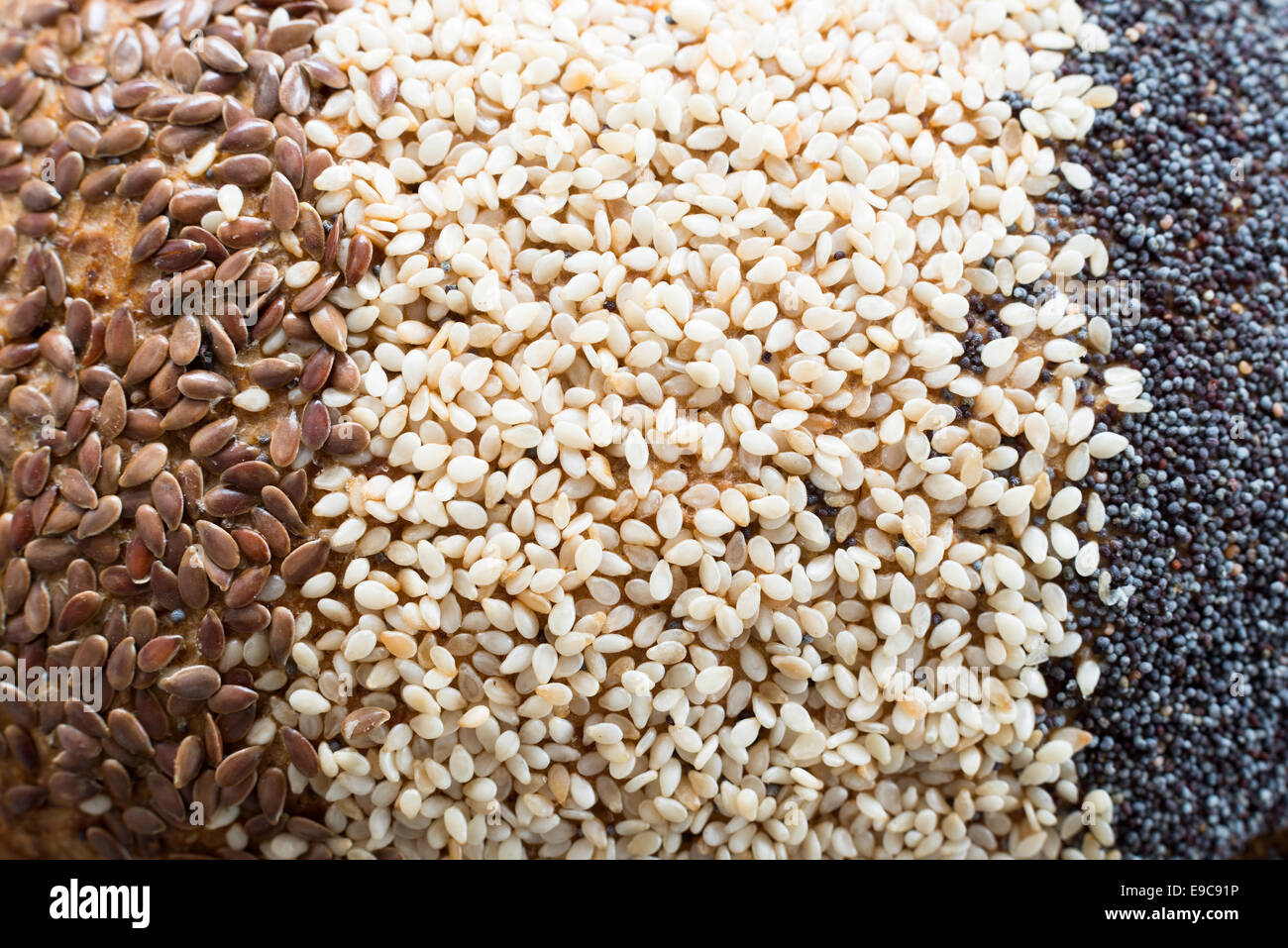 Close up dei diversi semi di un pane multigrain Foto Stock