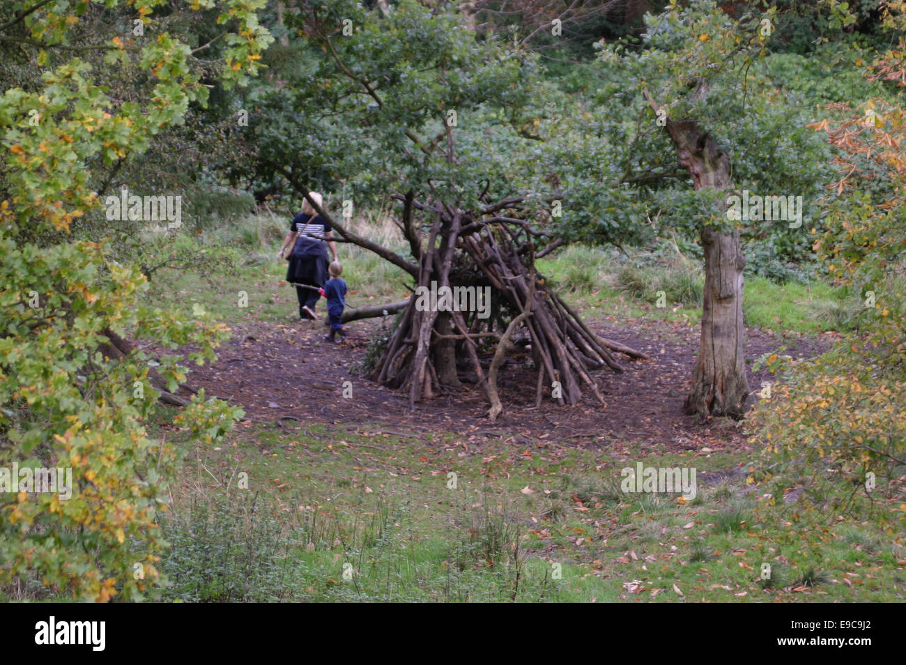 La madre e il bambino che gioca intorno ad un den nel bosco Foto Stock