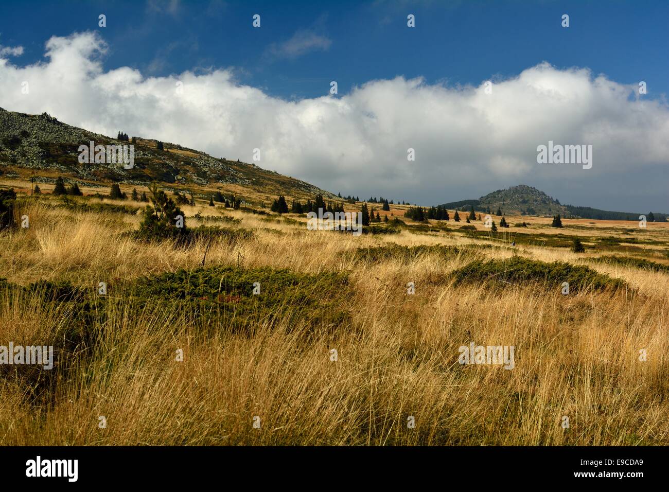 Autunno paesaggio di montagna Vitosha vicino Sofia,Bulgaria Foto Stock