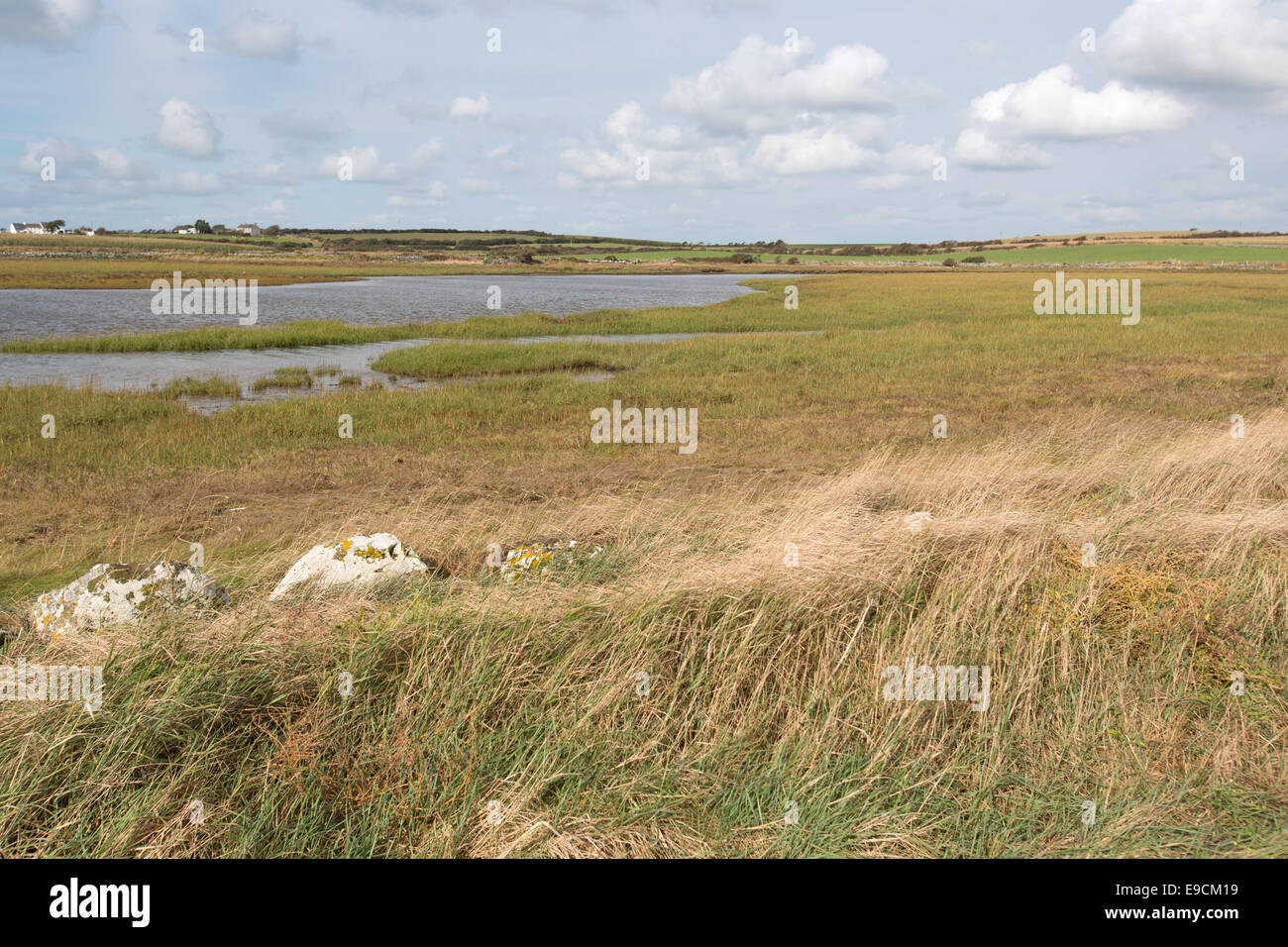 Il Galles sentiero costiero nel Galles del Nord. Vista pittoresca dall'Anglesey west coast sezione del Galles sentiero costiero. Foto Stock