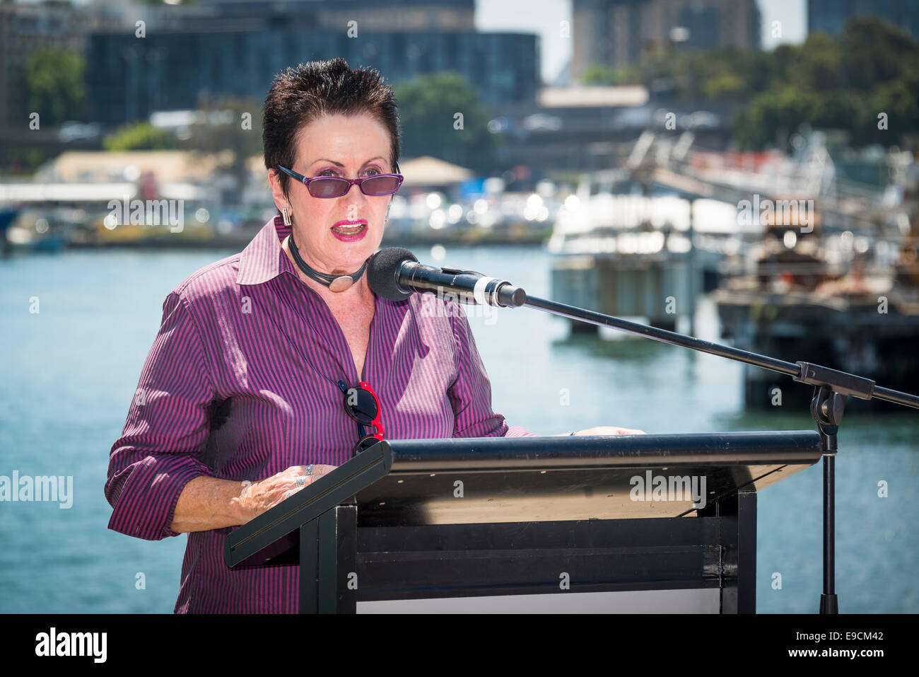 Sydney, Australia. 25 ott 2014. Il Sindaco di Sydney, Trifoglio Moore, ha tenuto un discorso prima di svelare la fase finale di un 2.2-chilometro foreshore a piedi rendendo accessibile al pubblico per la prima volta dall inizio insediamento europeo a Sydney. Credito: MediaServicesAP/Alamy Live News Foto Stock