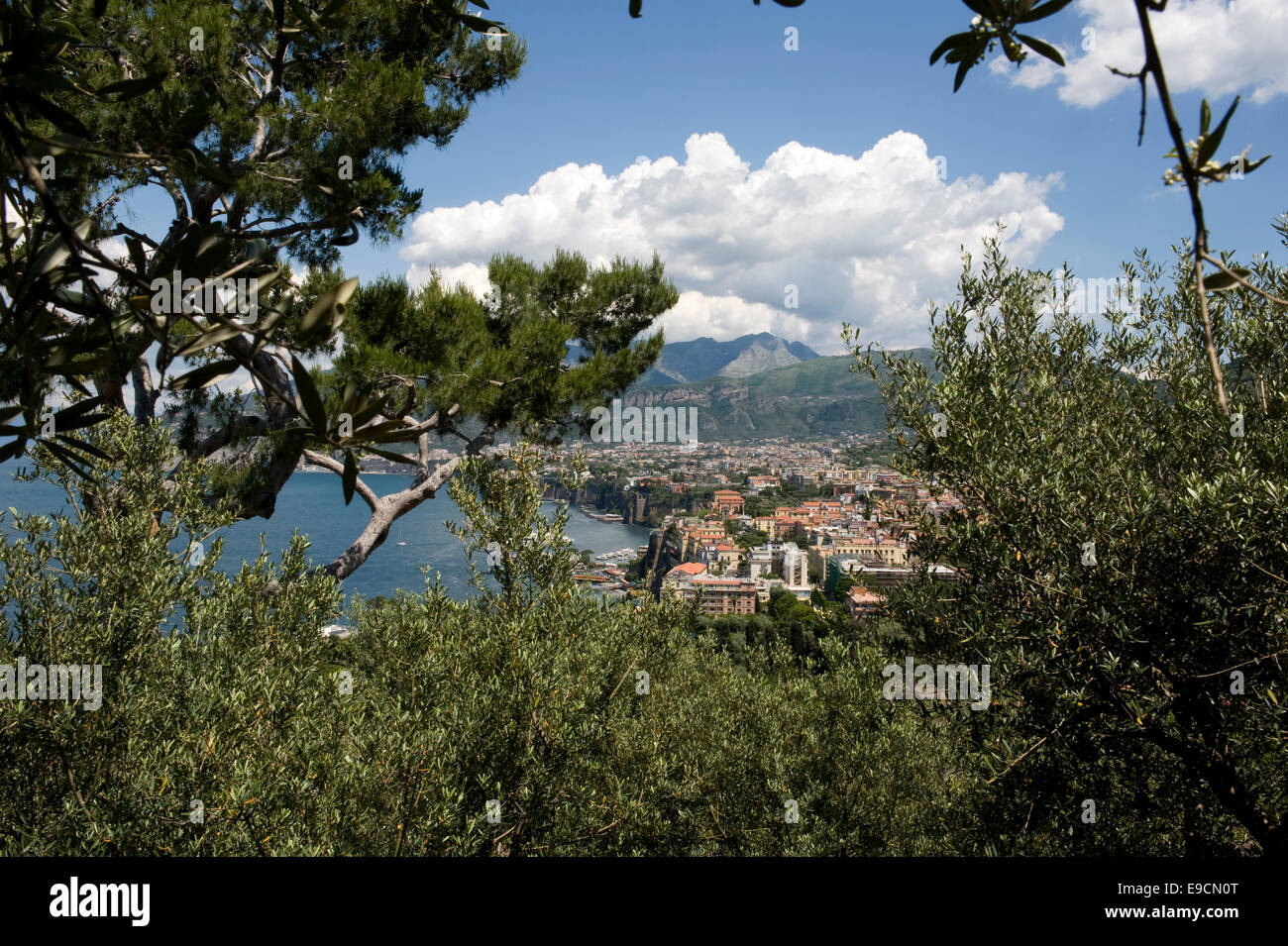 Vista su Sorrento guardare attraverso gli alberi e il fogliame sopra la città per la costa e le colline a sud della baia di Napl Foto Stock