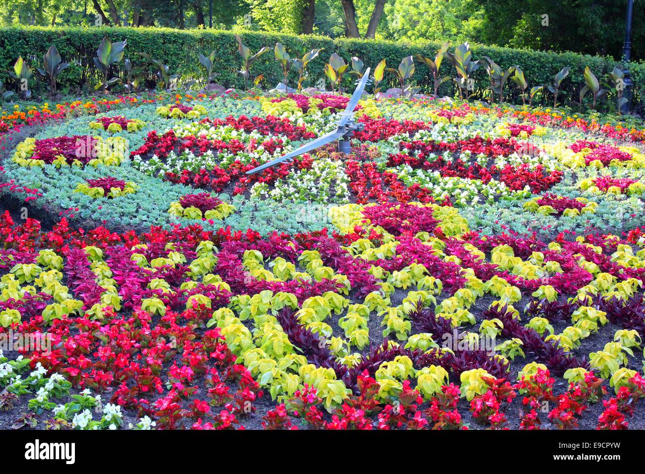 Orologio di fiori in Ciechocinek Foto Stock