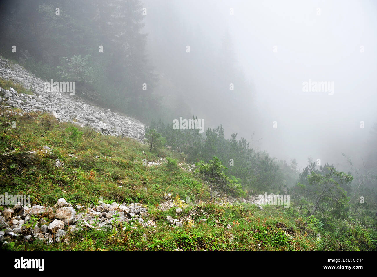 La natura particolare di fitta nebbia salendo su una valle di montagna Foto Stock