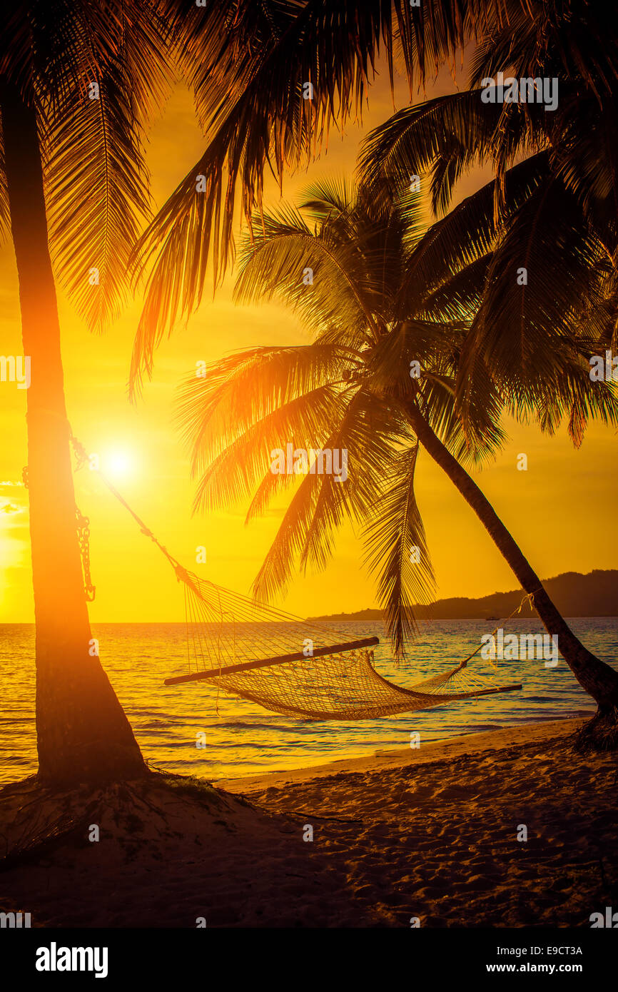 Amaca silhouette con palme su una bella spiaggia al tramonto Foto Stock