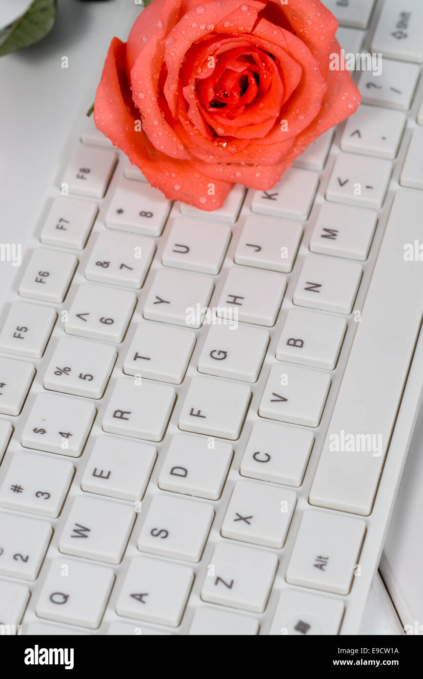 Close-up di White keyboard e mouse su sfondo di metallo Foto Stock