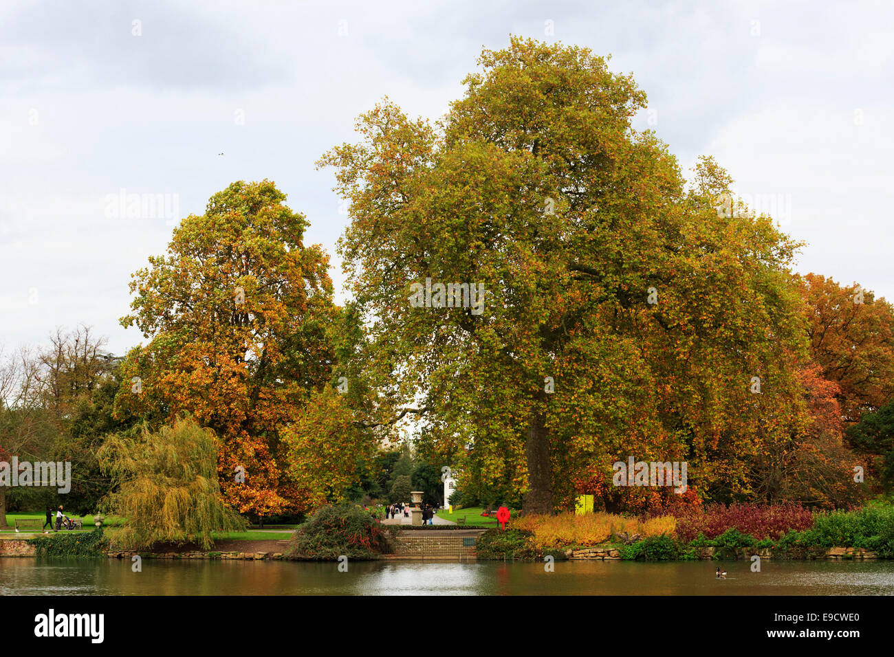 Londra, Regno Unito. 25 ott 2014. I visitatori del Royal Botanic Gardens, Kew, godere di piacevoli autunno Meteo e fogliame autunnale. Credito: Nick Savage/Alamy Live News Foto Stock
