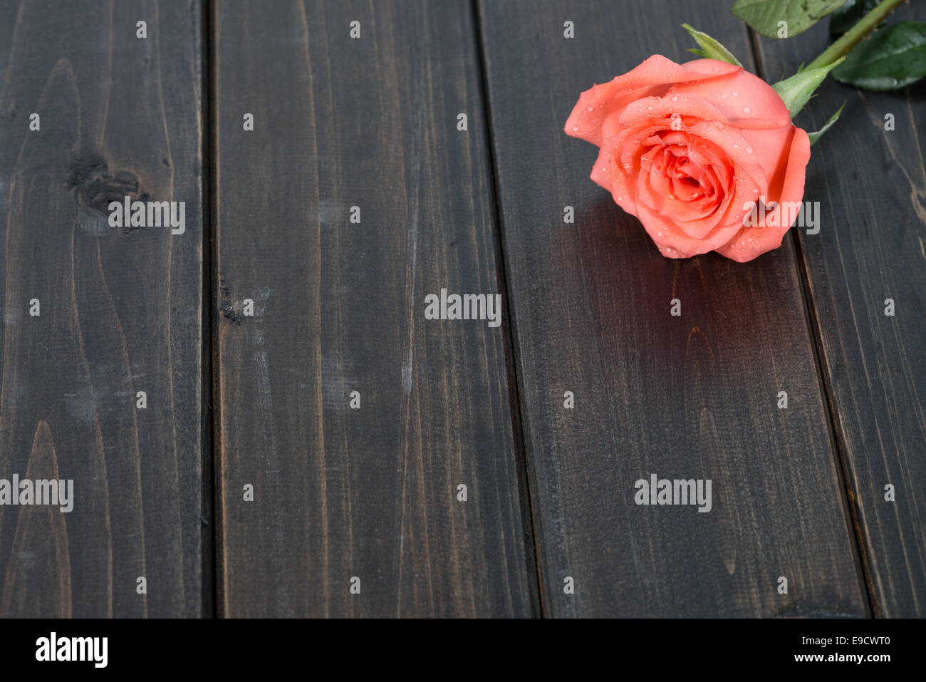 Le rose rosse su sfondo di legno Foto Stock