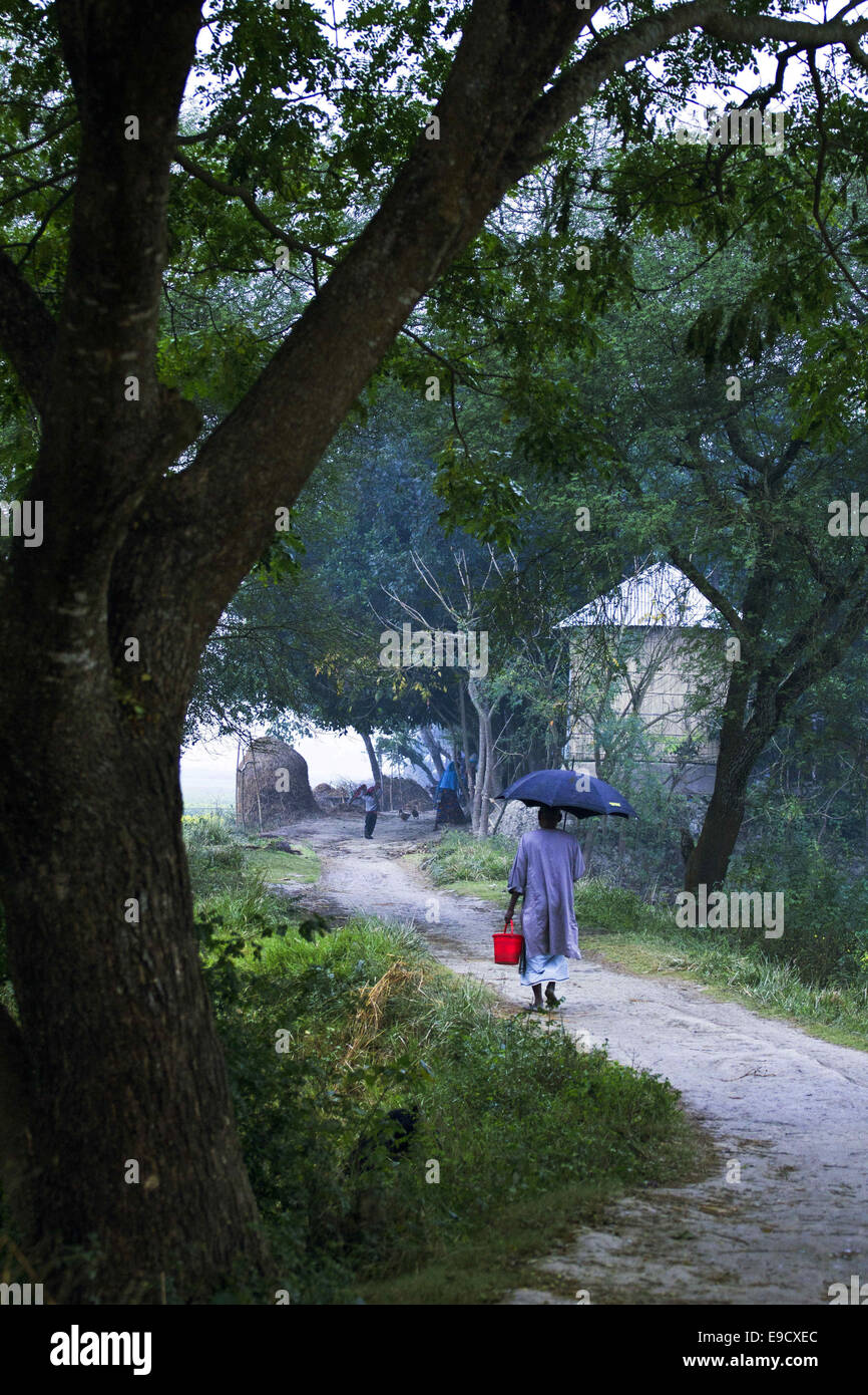 Munshigonj, Bangladesh. Il 2 gennaio, 2012. La vita in un villaggio del Bangladesh è di regola, noioso e monotono. La gente del villaggio sono semplici, religiosi e conservatore. Essi non piace cambiare con le mutevoli condizioni del mondo. Questo atteggiamento presenta un contrasto stridente con la vita in città. Gli abitanti del villaggio possono essere classificati in tre principali capi-la ricca borghesia e poveri faticando classe. La gente ricca generalmente lasciare il villaggio e affollano la città per godere dei suoi molteplici vantaggi. La classe media sono notevoli in numero e dalla spina dorsale della vita del villaggio. Bu Foto Stock