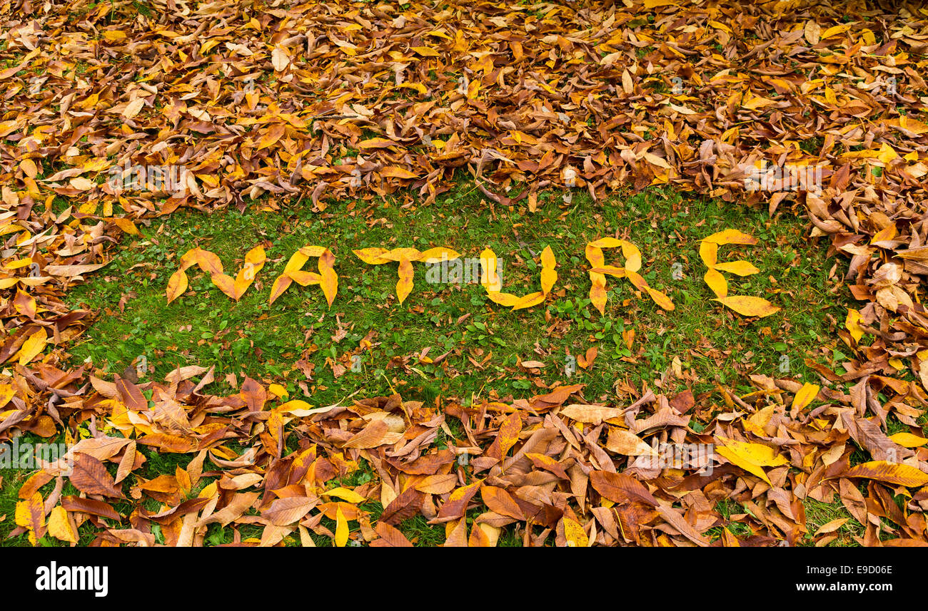 Le parole natura scritte con foglie di autunno Foto stock - Alamy