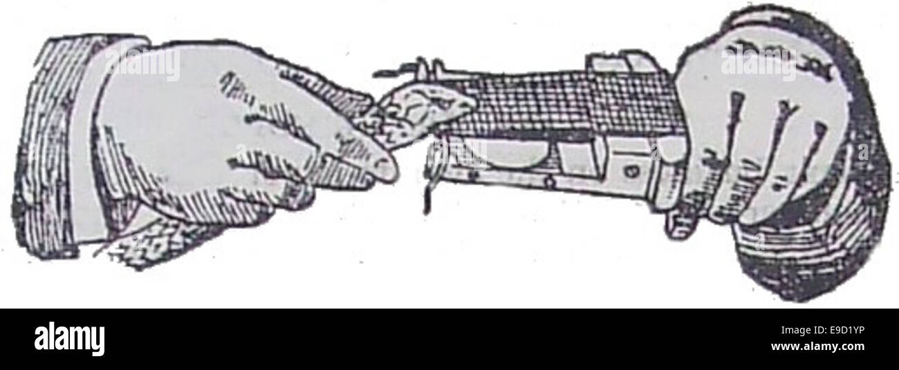 Questa immagine mostra un apparecchio di mungitura del veleno progettato dal chimico James Bray, utilizzato per estrarre il veleno dai serpenti. Il dispositivo è stato utilizzato in Australia e nuova Zelanda per scopi medici, compresa la produzione di antivenom. Foto Stock