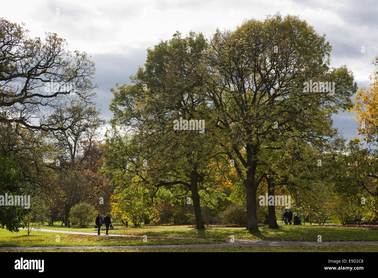Londra, Regno Unito. 25 ott 2014. I visitatori del Royal Botanic Gardens, Kew, godere di piacevoli autunno Meteo e fogliame autunnale. Credito: Nick Savage/Alamy Live News Foto Stock