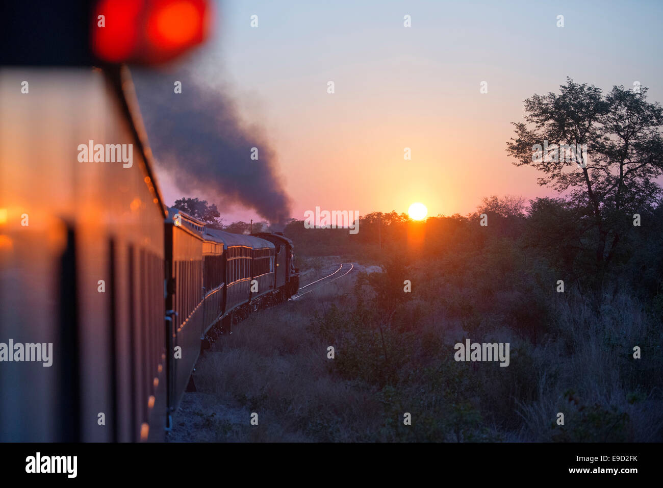 Tramonto nella Royal Livingstone Express treno di lusso. La locomotiva a vapore, 156 è un decimo di classe originariamente appartenenti al Zamb Foto Stock