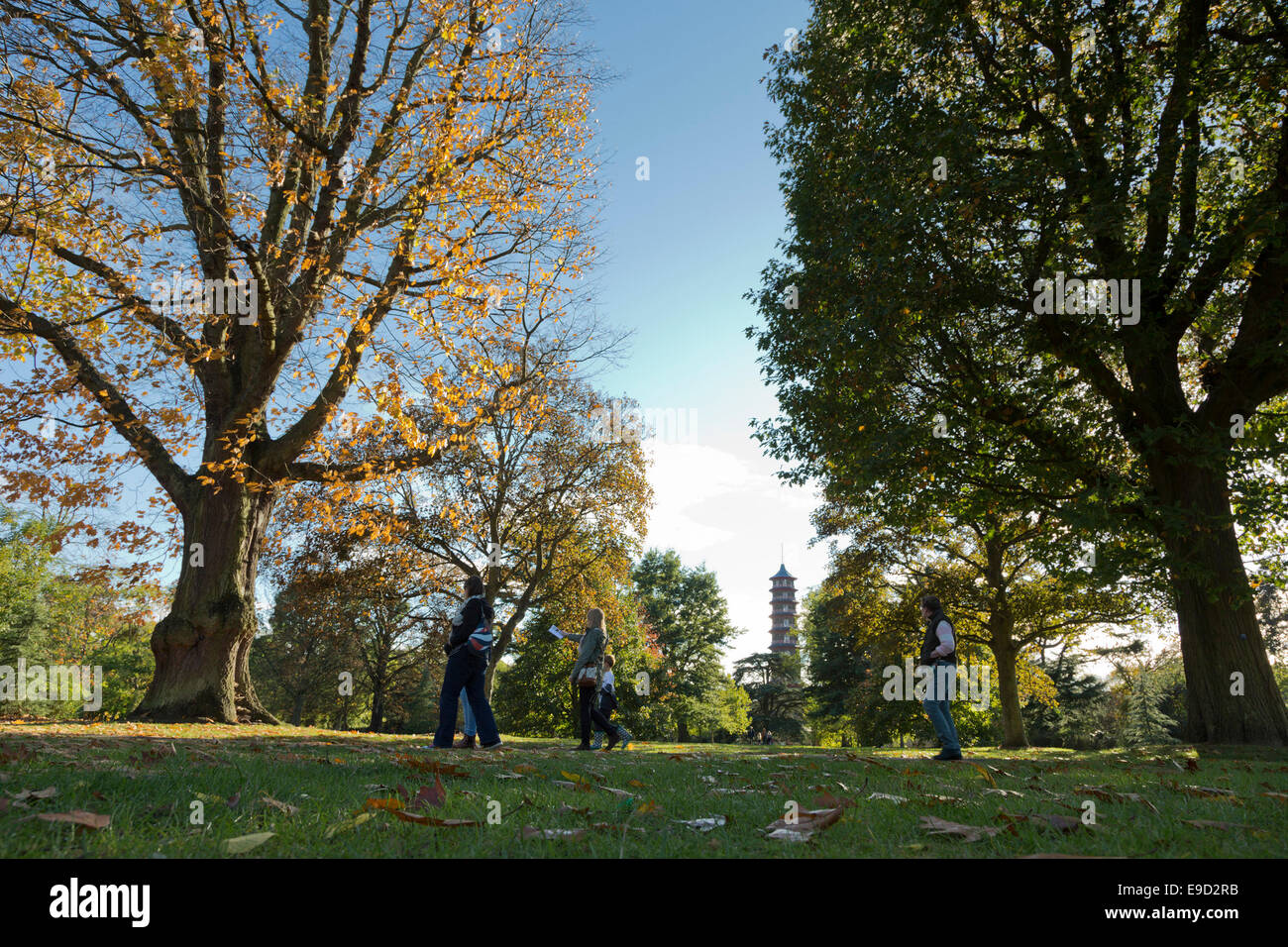Londra, Regno Unito. 25 ott 2014. I visitatori del Royal Botanic Gardens, Kew, godere di piacevoli autunno Meteo con alcuni incantesimi di sole e il fogliame autunnale nei pressi della Pagoda. Credito: Nick Savage/Alamy Live News Foto Stock
