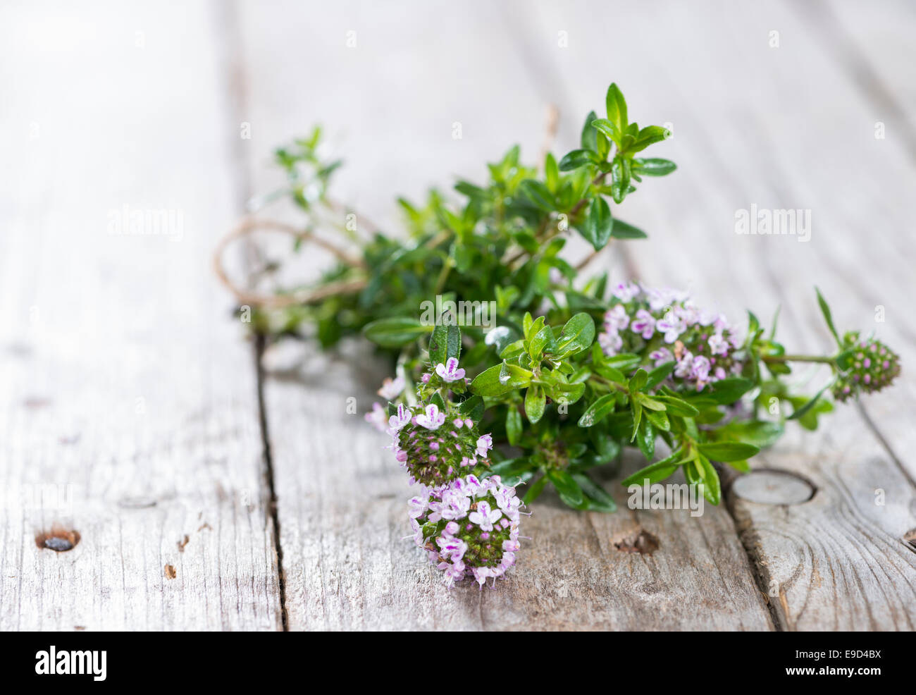 Mazzetto di inverno dolce salato (close-up shot) Foto Stock