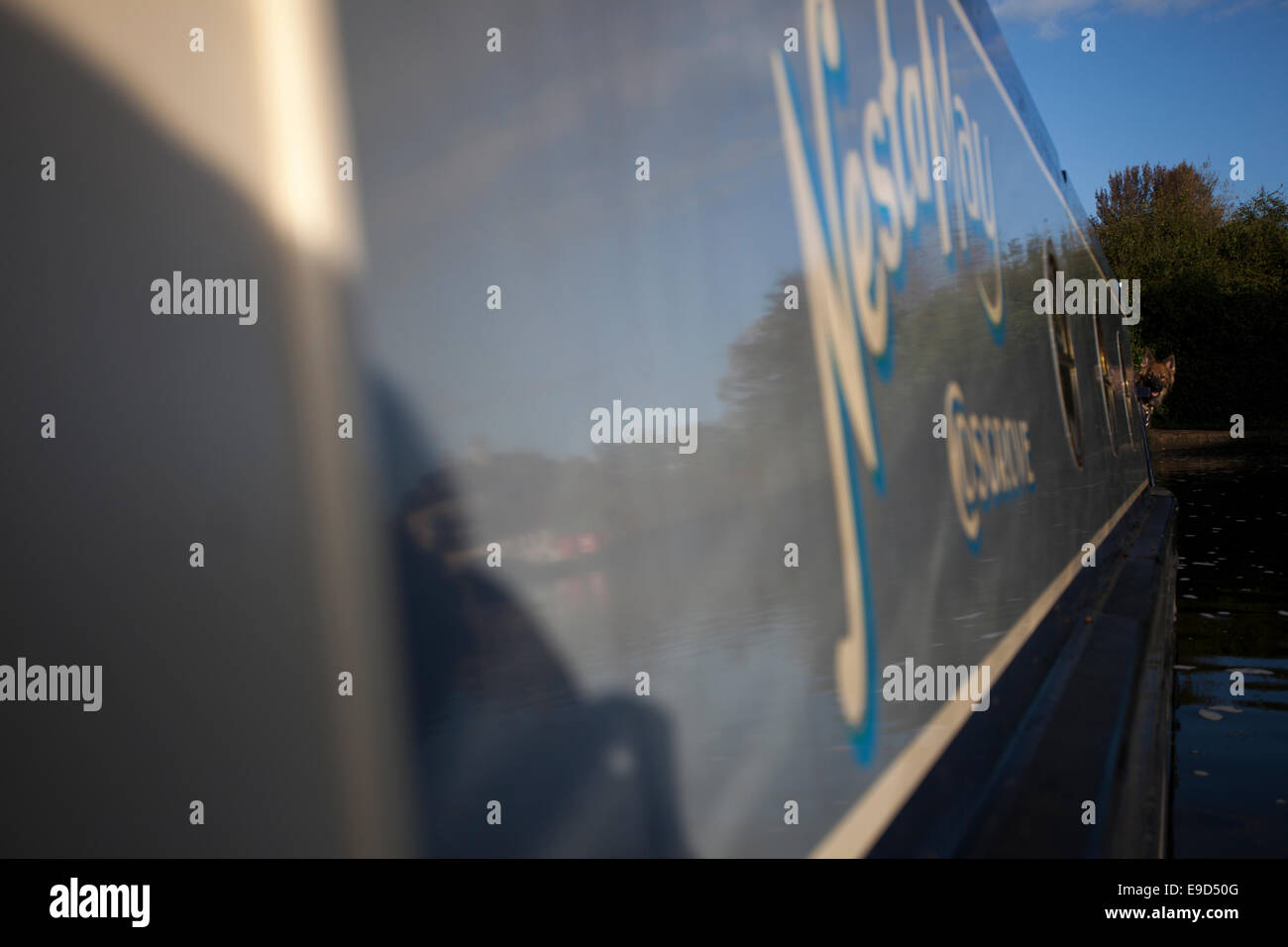Pastore Tedesco su un narrowboat Foto Stock