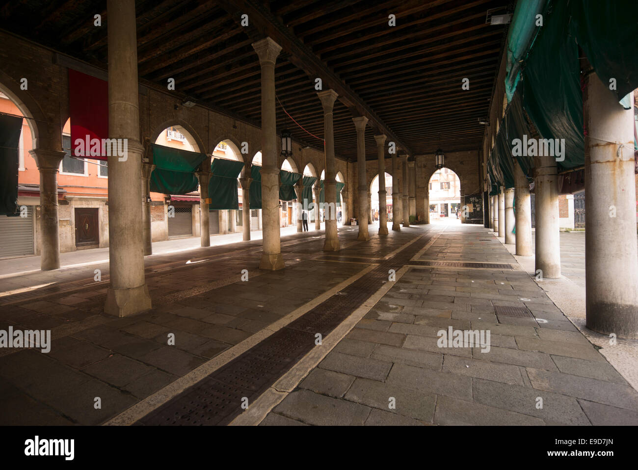 Rialto Mercato del Pesce, Venezia, Italia. Foto Stock