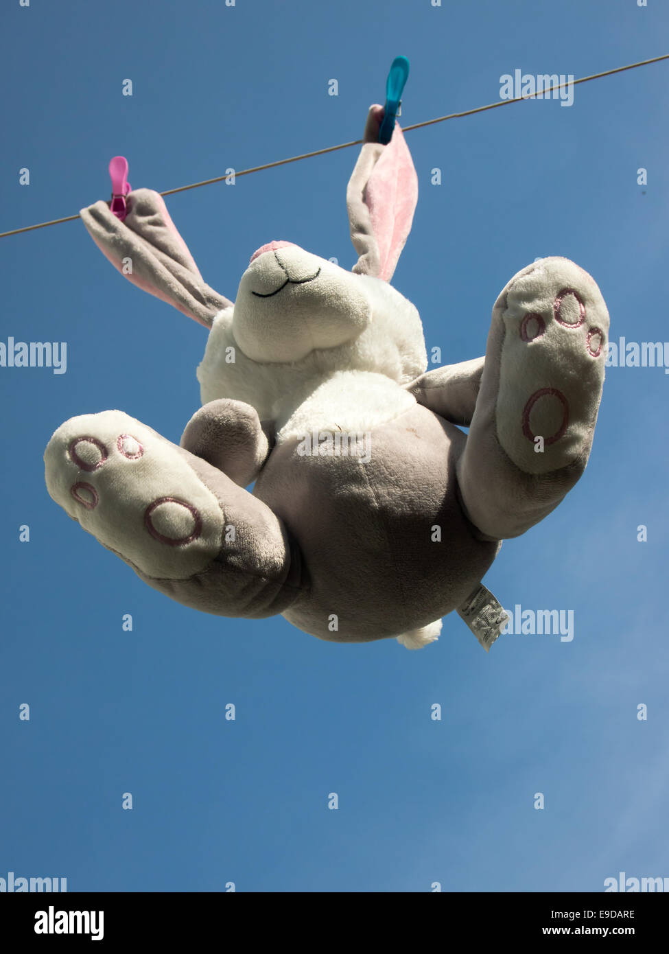 Peluche appeso su una linea di lavaggio contro un cielo blu Foto Stock