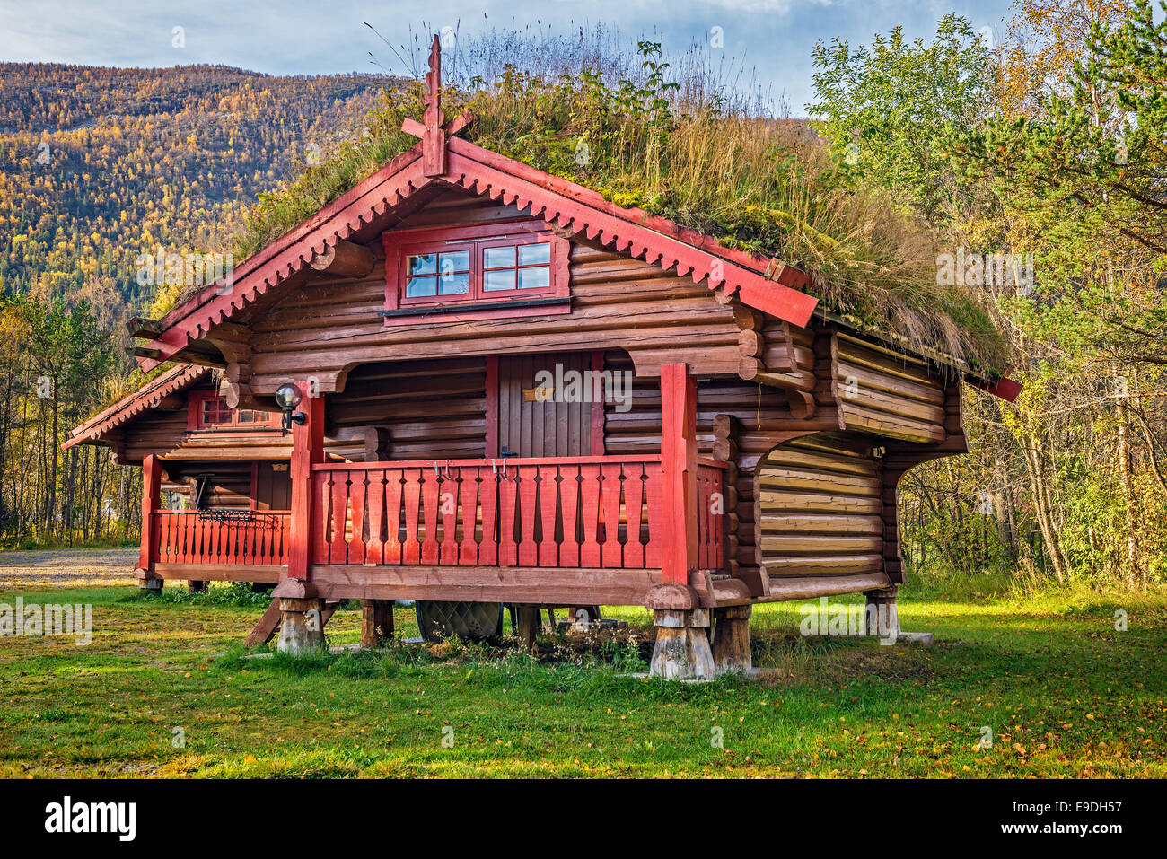 Camping cabine con tetto del fondo erboso vicino Hallingskarvet parco nazionale in Norvegia Foto Stock